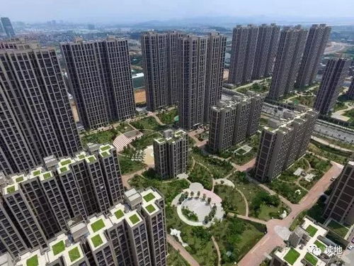 美在厦门，与厦门宜信邦共探鹭岛之韵